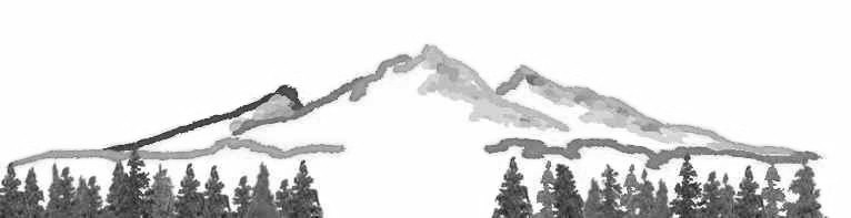 mtnxstreesneg.jpg (22640 bytes)